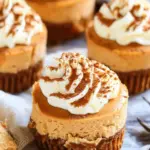 Mini Pumpkin Cheesecakes