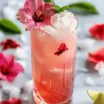 Coconut Hibiscus Breeze Mocktail Recipe