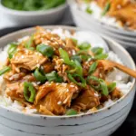 Dump and Go Crockpot Soy Honey Garlic Chicken