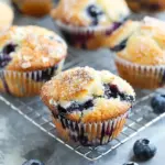 Easy Blueberry Muffins